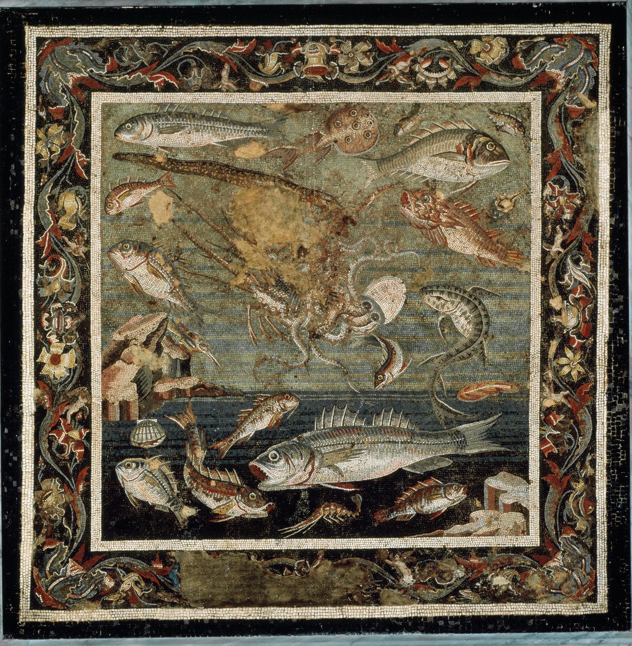 Vida marinha (mosaico de Roman