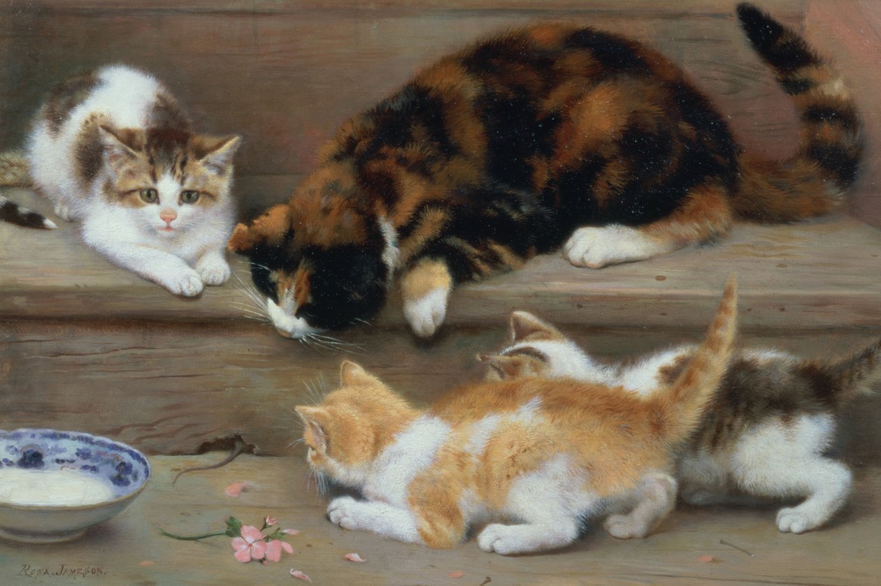 Gato e gatinhos perseguindo um rato de Rosa Jameson
