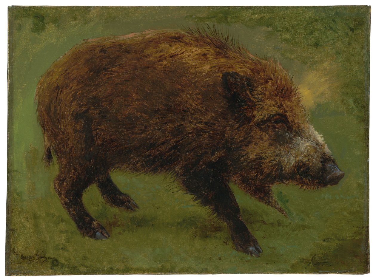 Javali (óleo sobre tela) de Rosa Bonheur