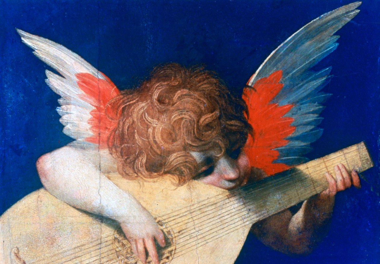 Músico anjo, c1520 de Rosso Fiorentino