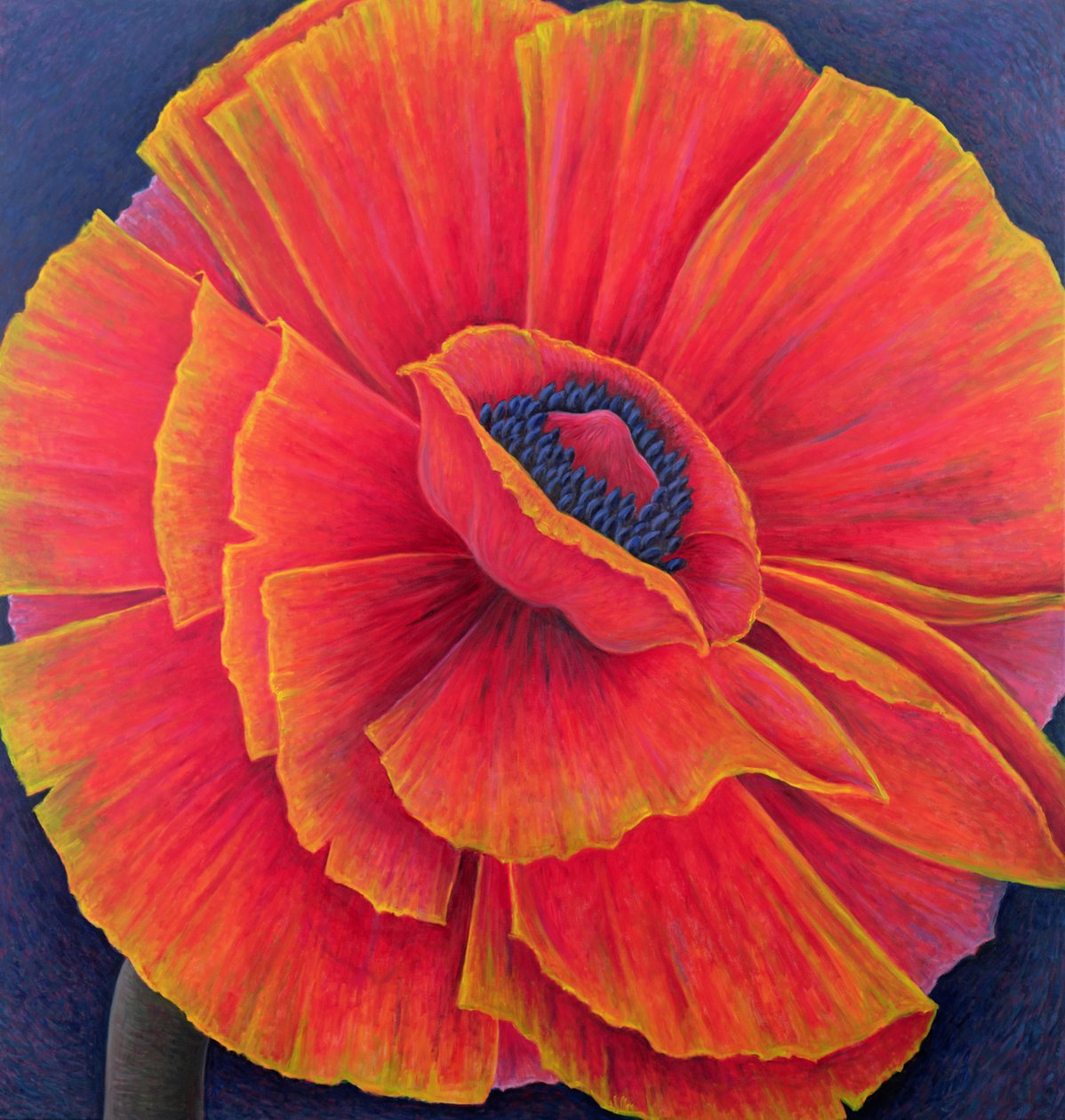 Papoula Grande, 2003 de Ruth Addinall