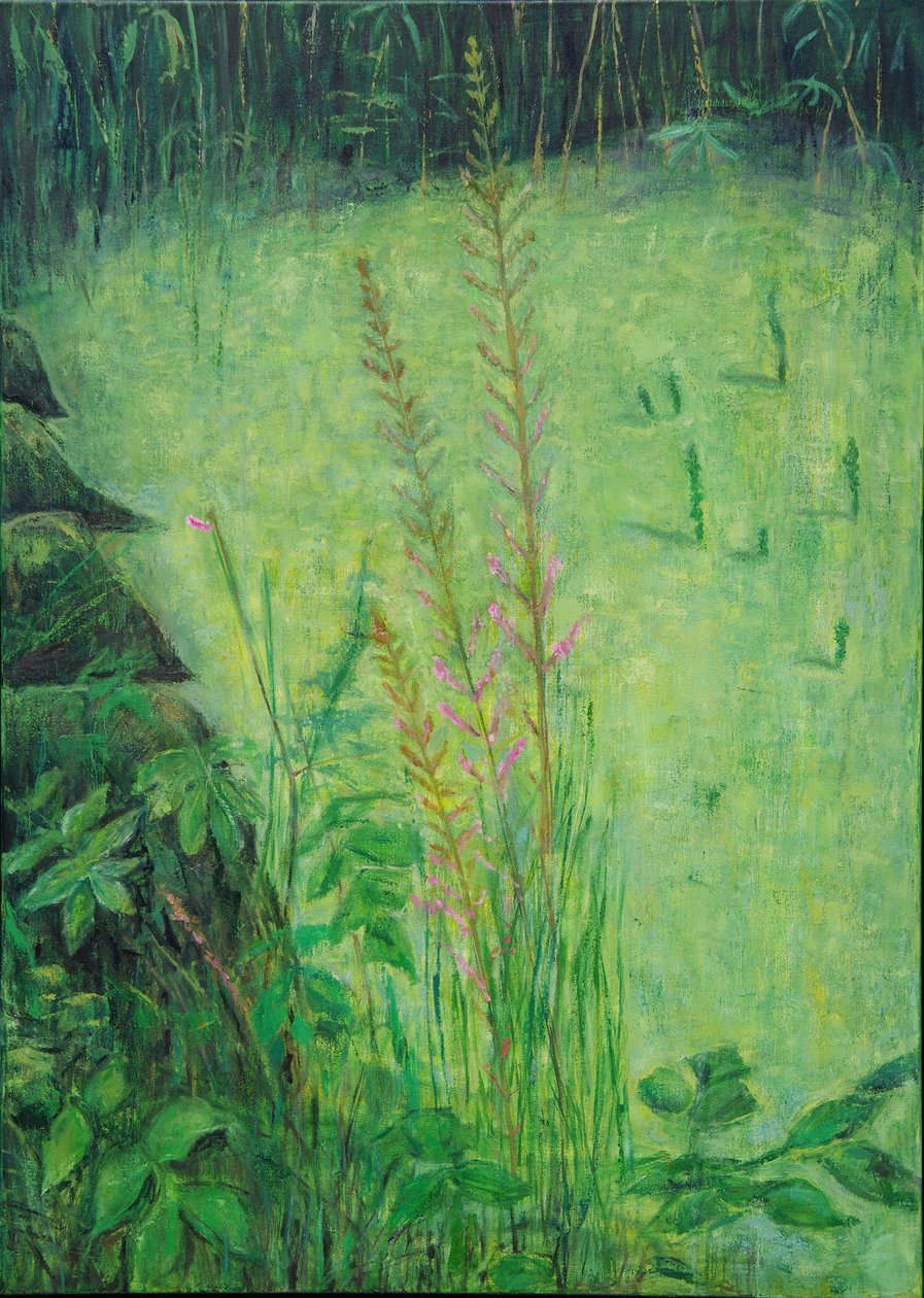 Estudo em verde (lagoa) de Ruth Addinall
