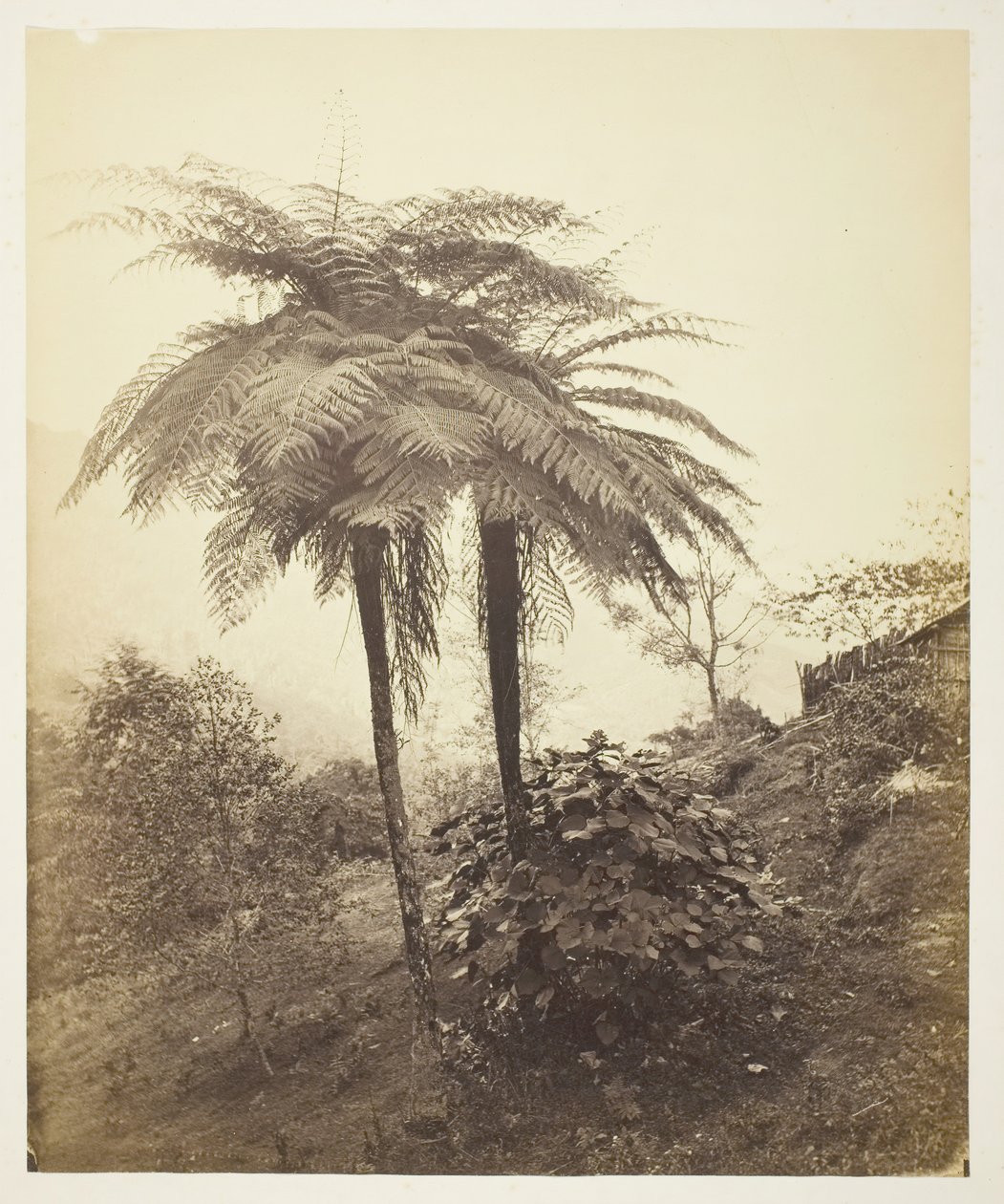 paisagem de Samuel Bourne