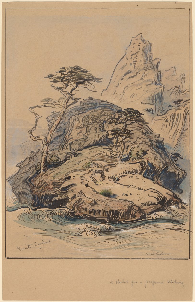 Point Lobos, Califórnia de Samuel Colman