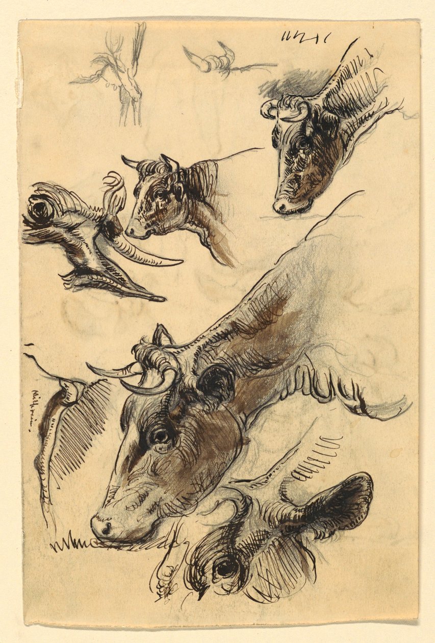 Esboços de gado, Irvington de Samuel Colman