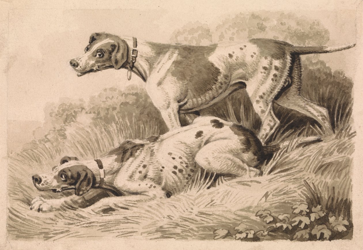 Cães de armas de Samuel Howitt