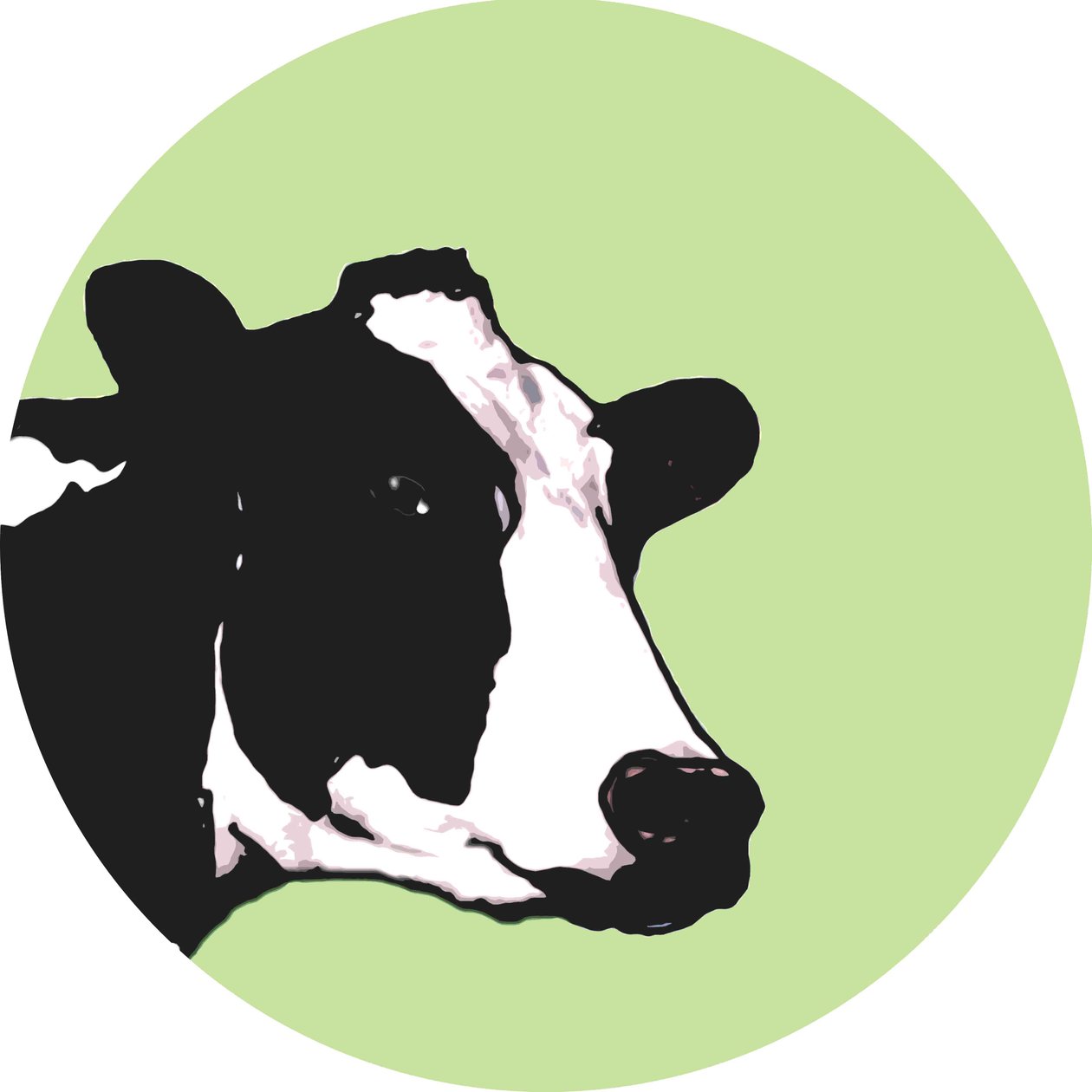 Vaca de Sarah Thompson Engels