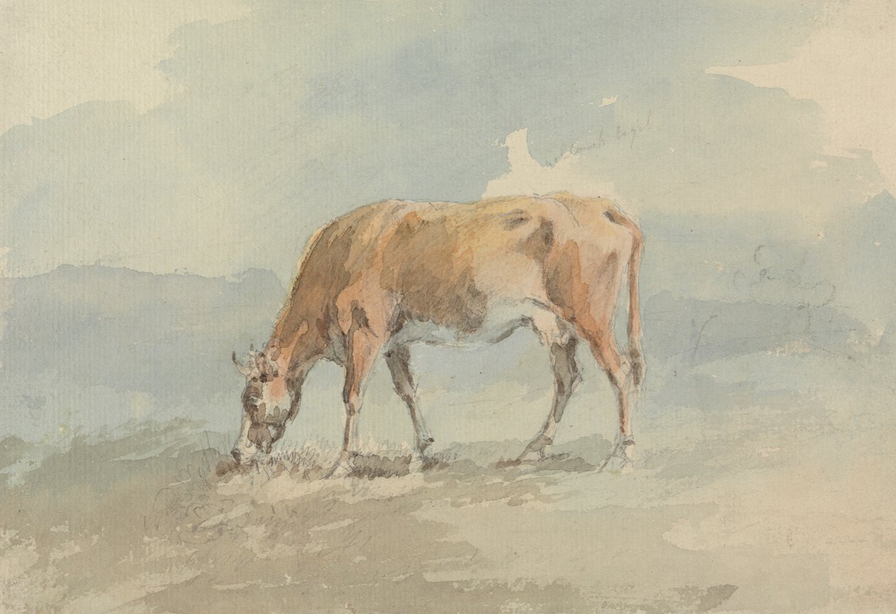 Pastoreio de vacas de Sawrey Gilpin