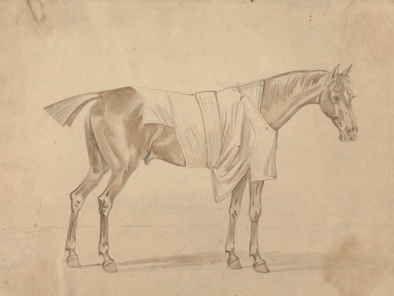 Cavalo Vestido de Cobertor de Sawrey Gilpin