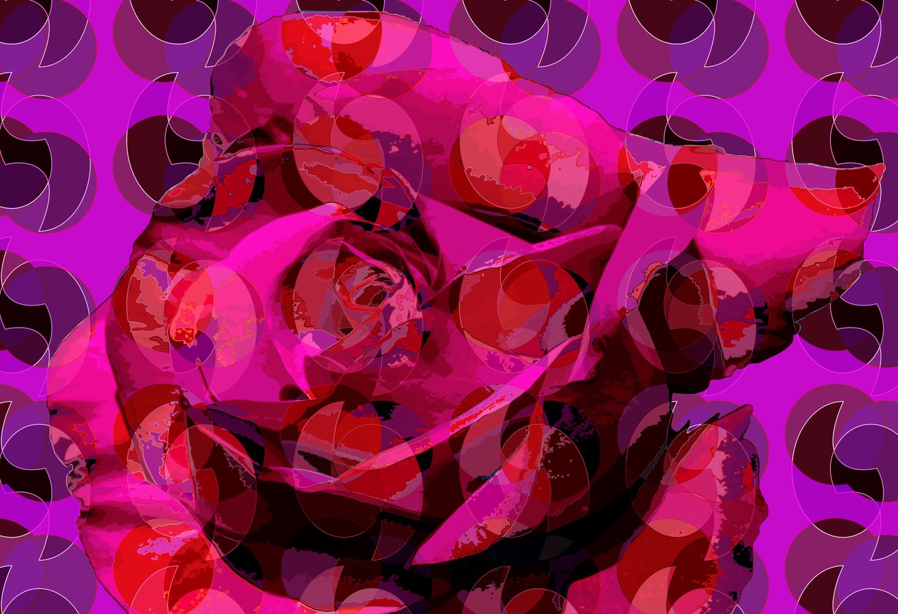 Rose (digital) de Scott J. Davis
