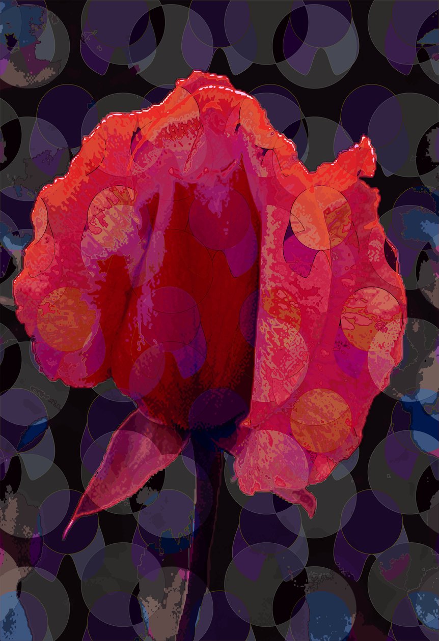 Chá Rosa 3b (digital) de Scott J. Davis