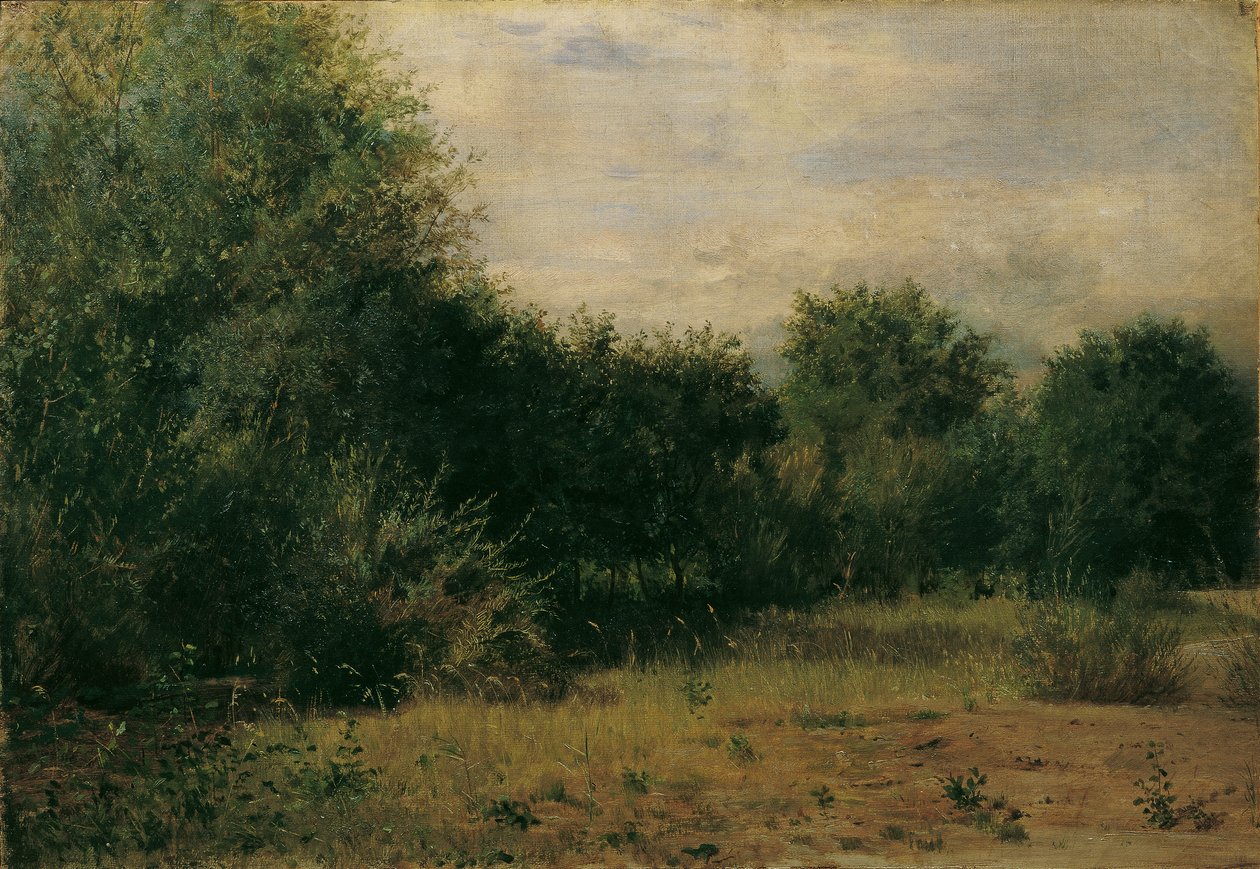 Estudo paisagístico de Sigmund L