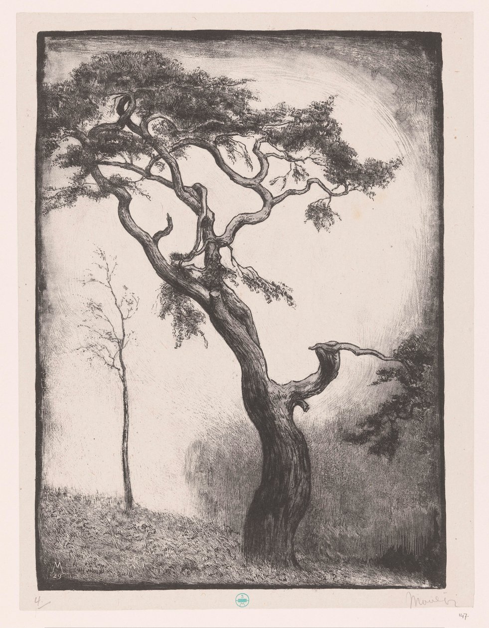 Pinheiro de Simon Moulijn (signed by artist)