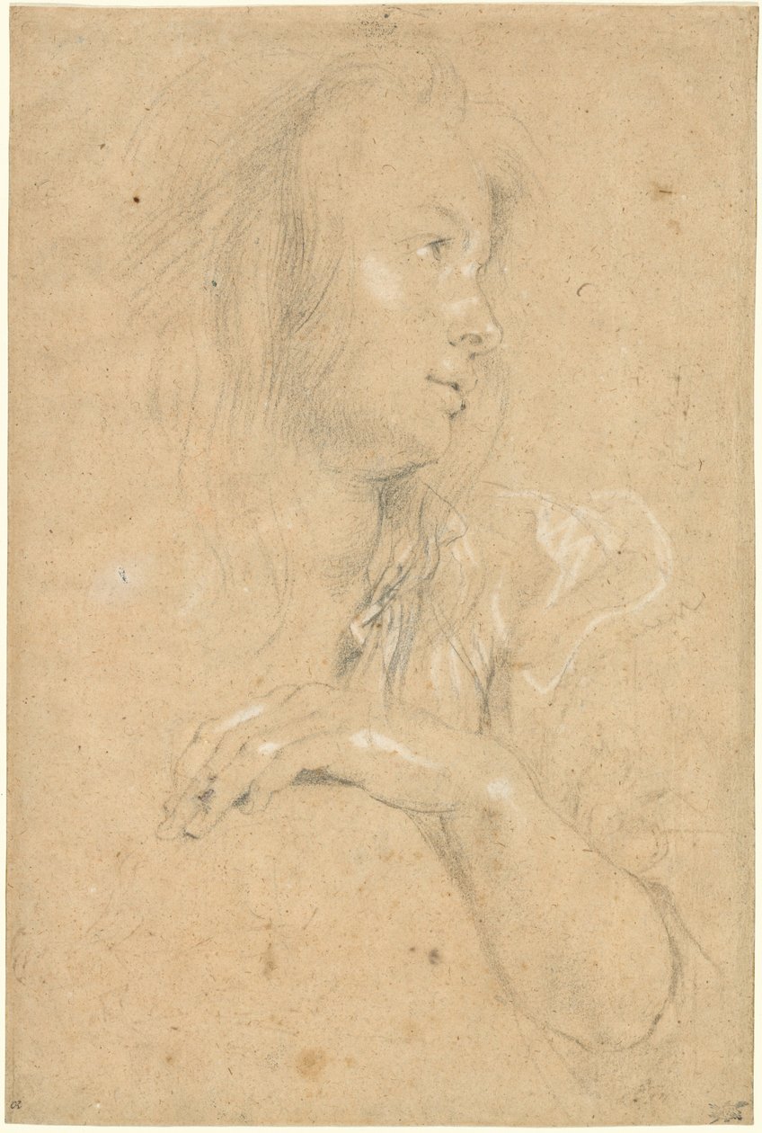 Jovem de perfil de Sir Peter Paul Rubens