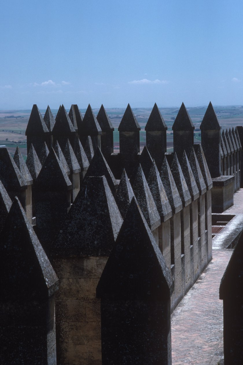 As ameias do castelo de Spanish School