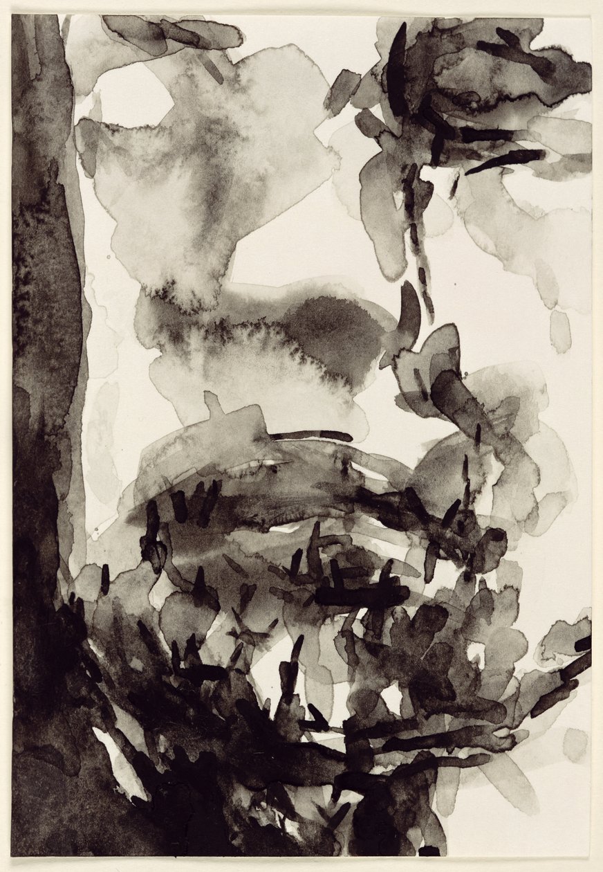 Cara, 2001 (wc no papel) de Stephen Finer
