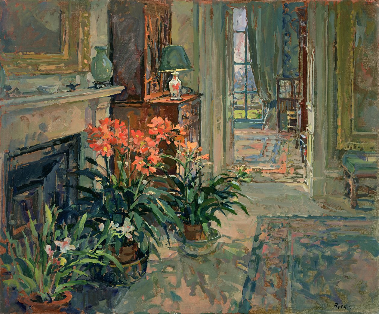 Clivia e Orquídea de Susan Ryder