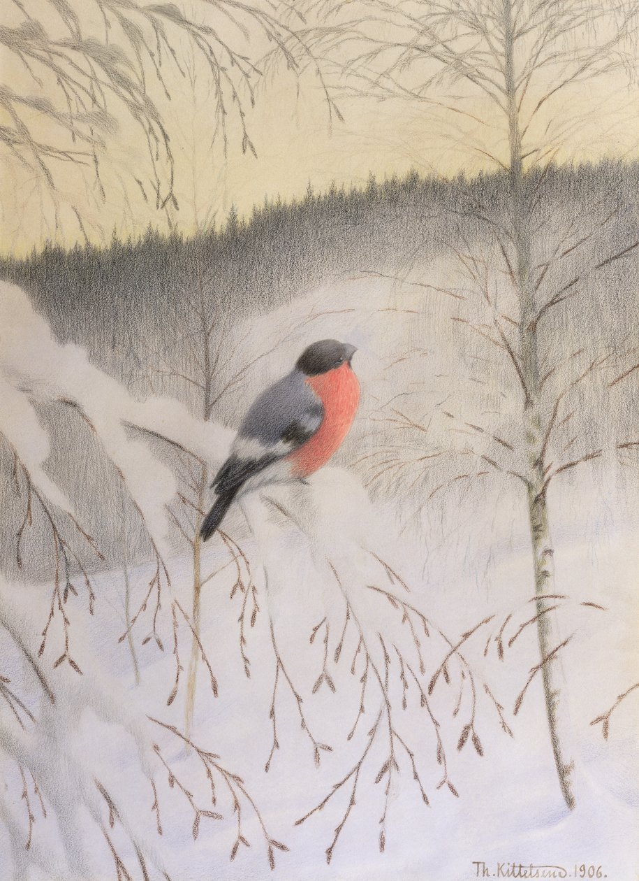 Bullfinch no galho gelado de Theodor Kittelsen