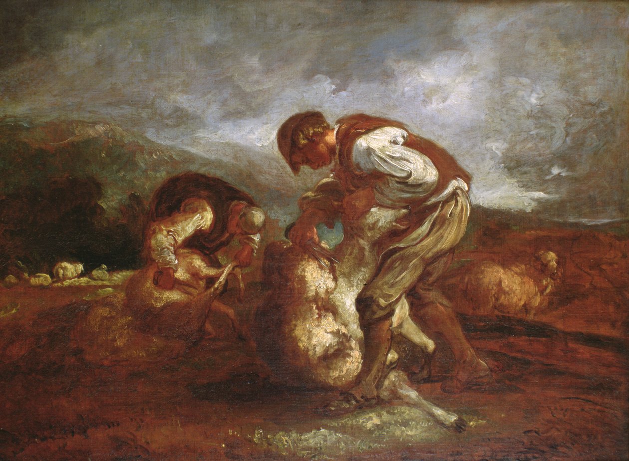 Tosquia de Ovelhas de Thomas Barker of Bath