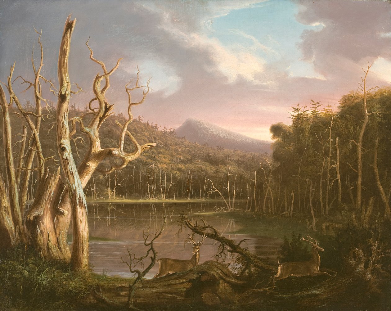 Lago com árvores mortas (Catskill) de Thomas Cole