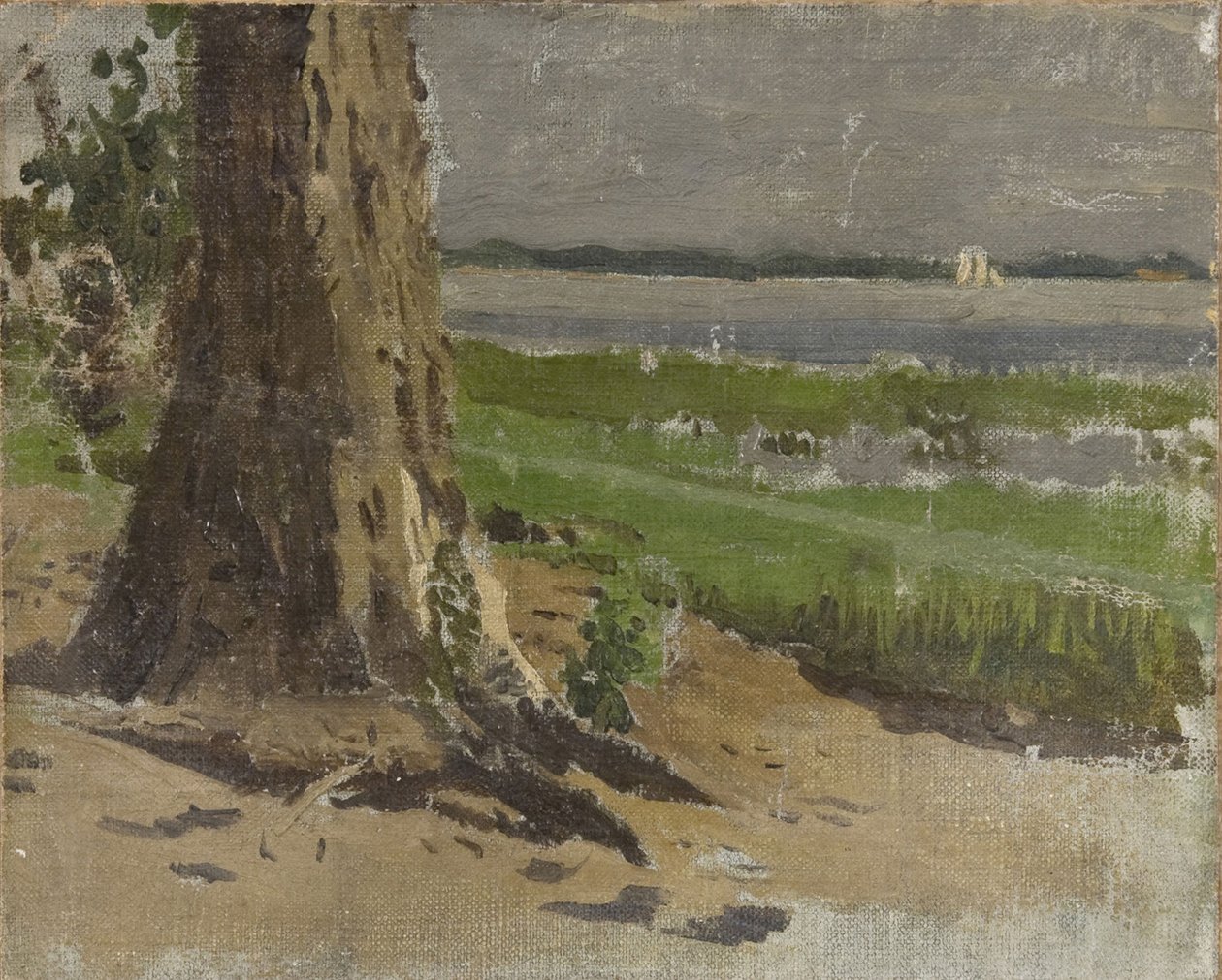 Imagem desconhecida de Thomas Eakins