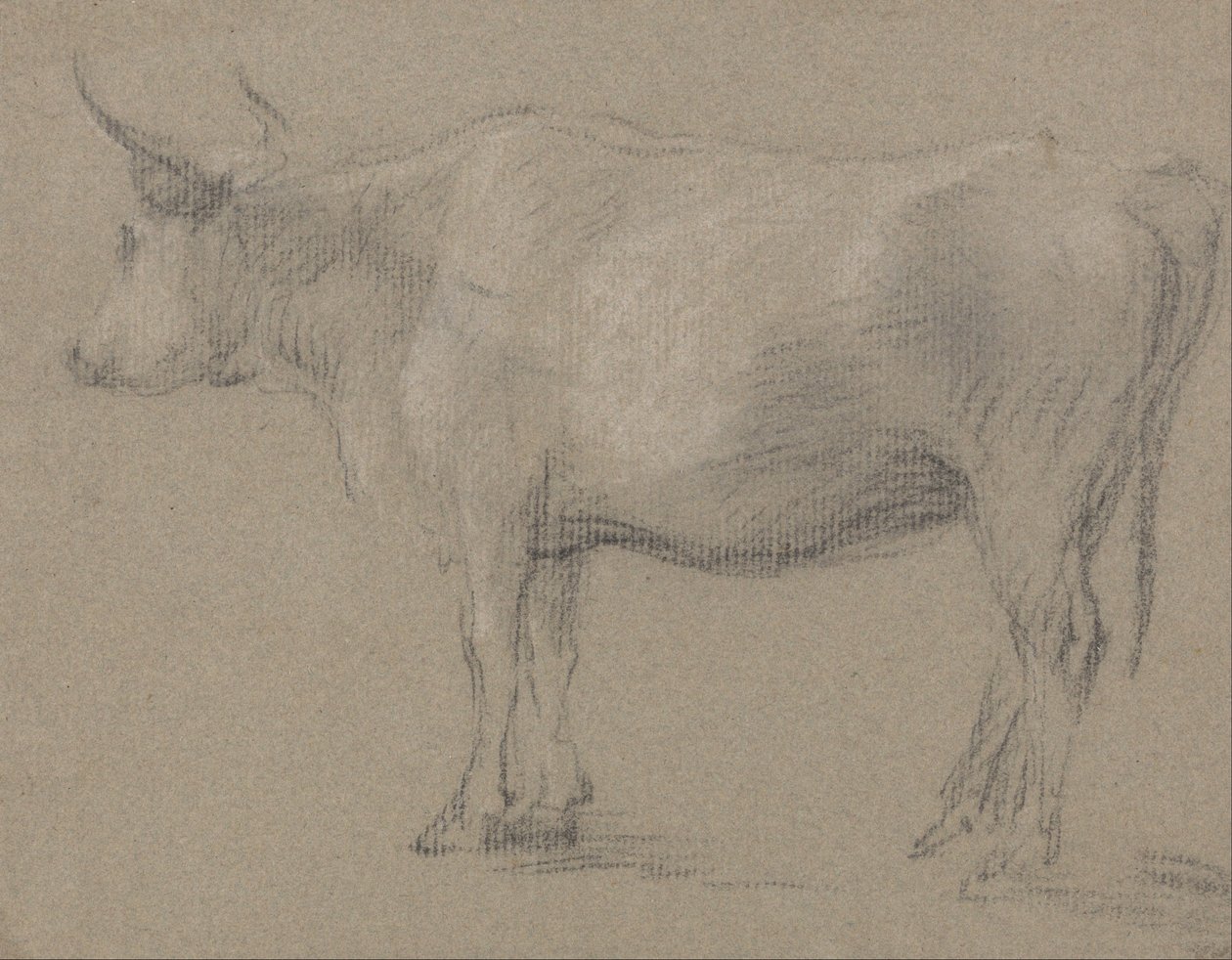 Estudo de uma vaca de Thomas Gainsborough