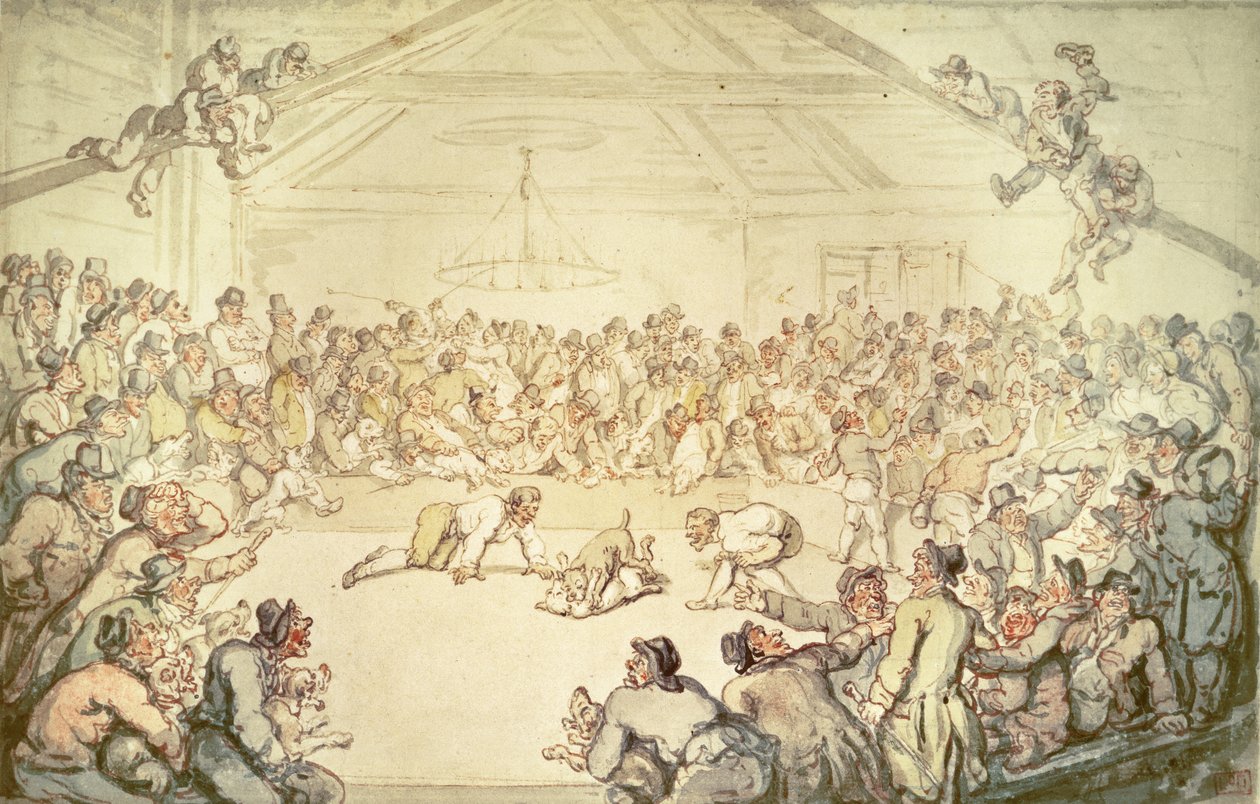 A luta do cão de Thomas Rowlandson