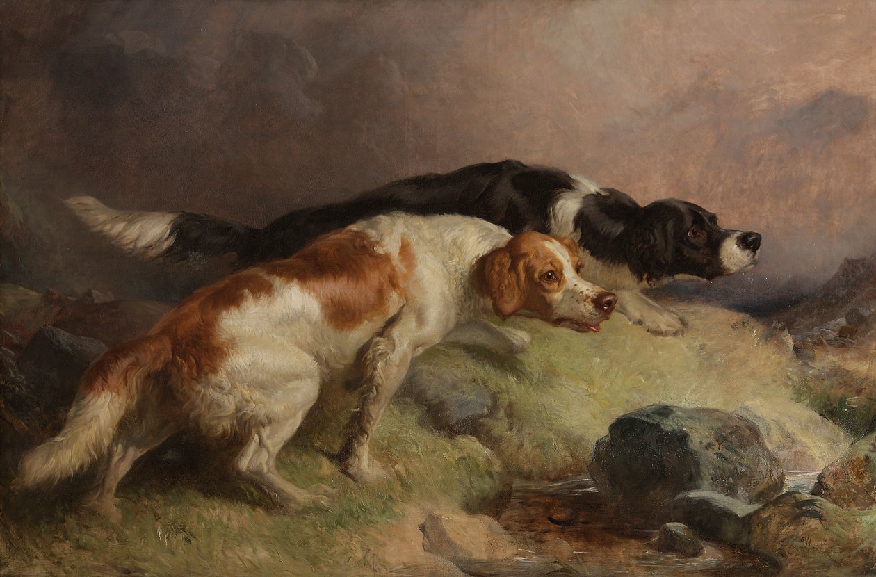 Setters no Moor de Thomas Woodward