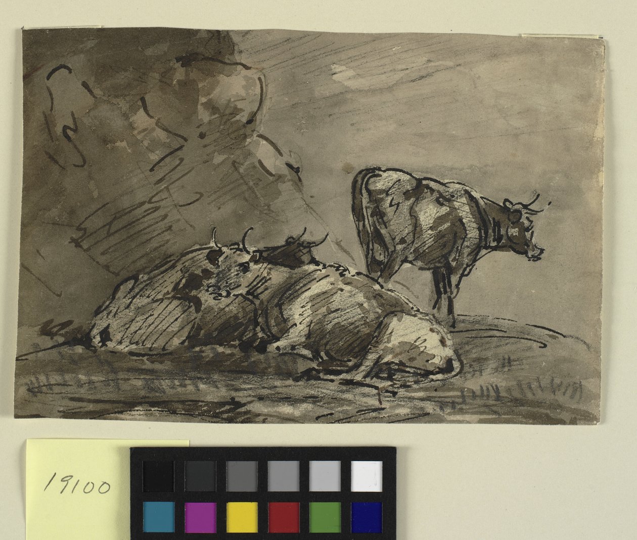 Três vacas em um penhasco de Thomas Barker