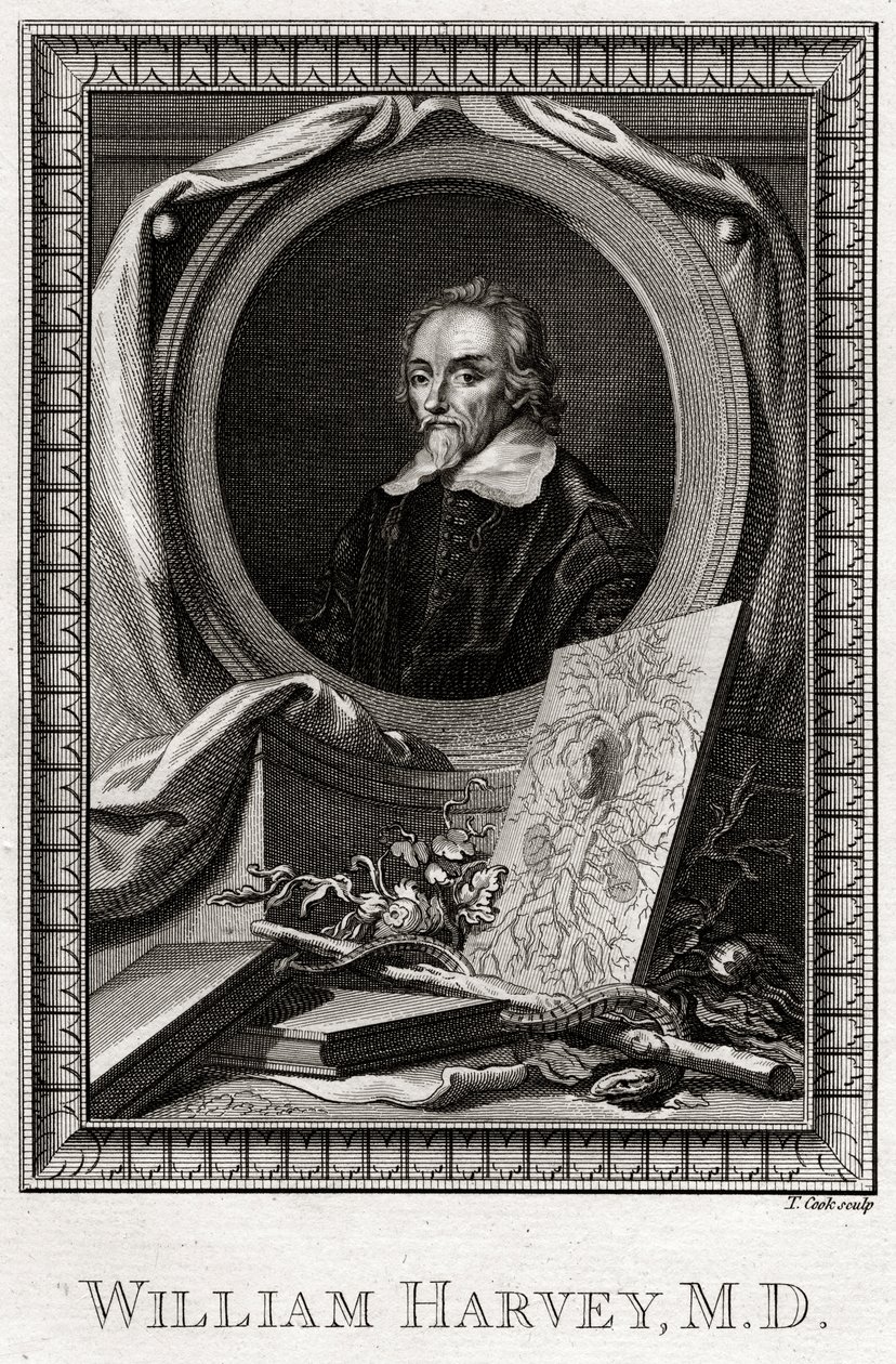 William Harvey, 1777 de Thomas Cook