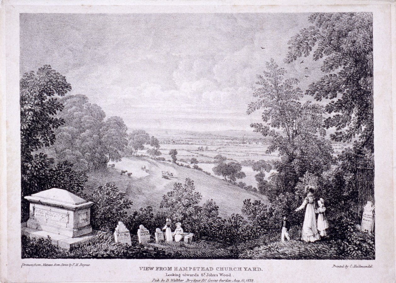 paisagem de Thomas Mann Baynes