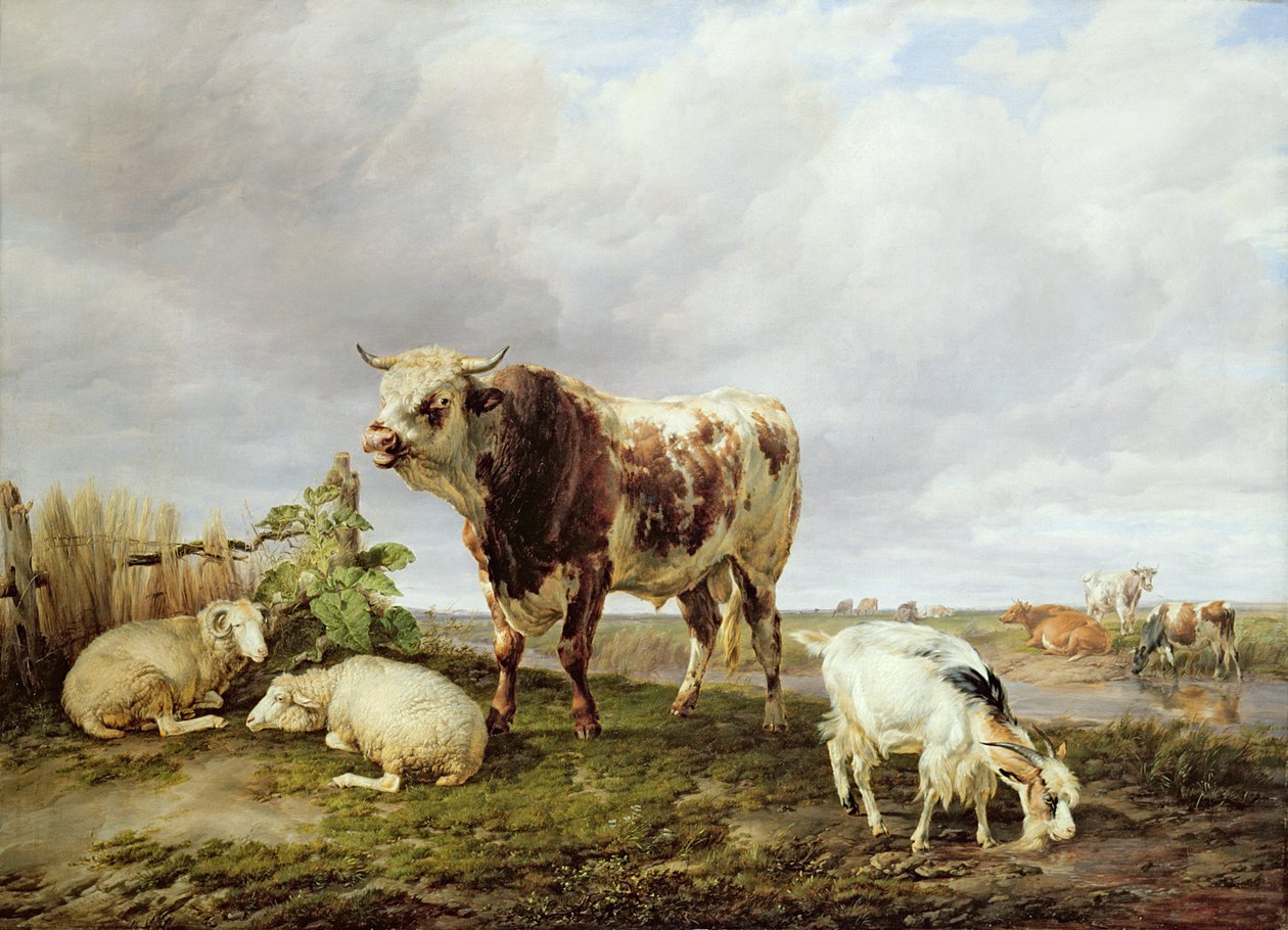Gado no Prado de Thomas Sidney Cooper