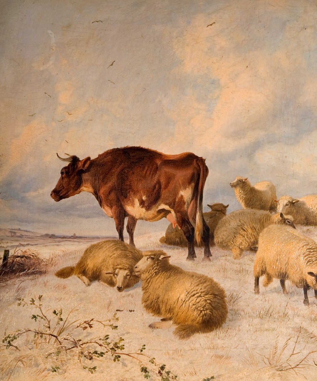 Vacas e ovelhas em Snowscape, 1864 de Thomas Sidney Cooper