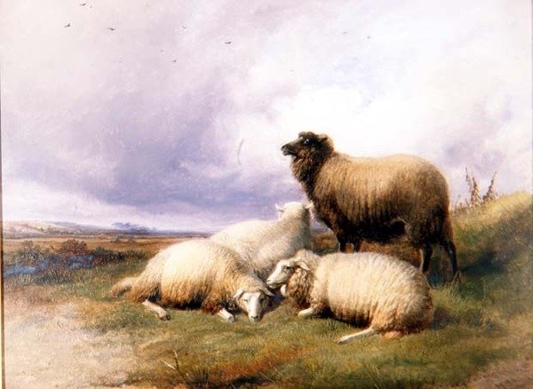 Ovelhas em Paisagem de Thomas Sidney Cooper