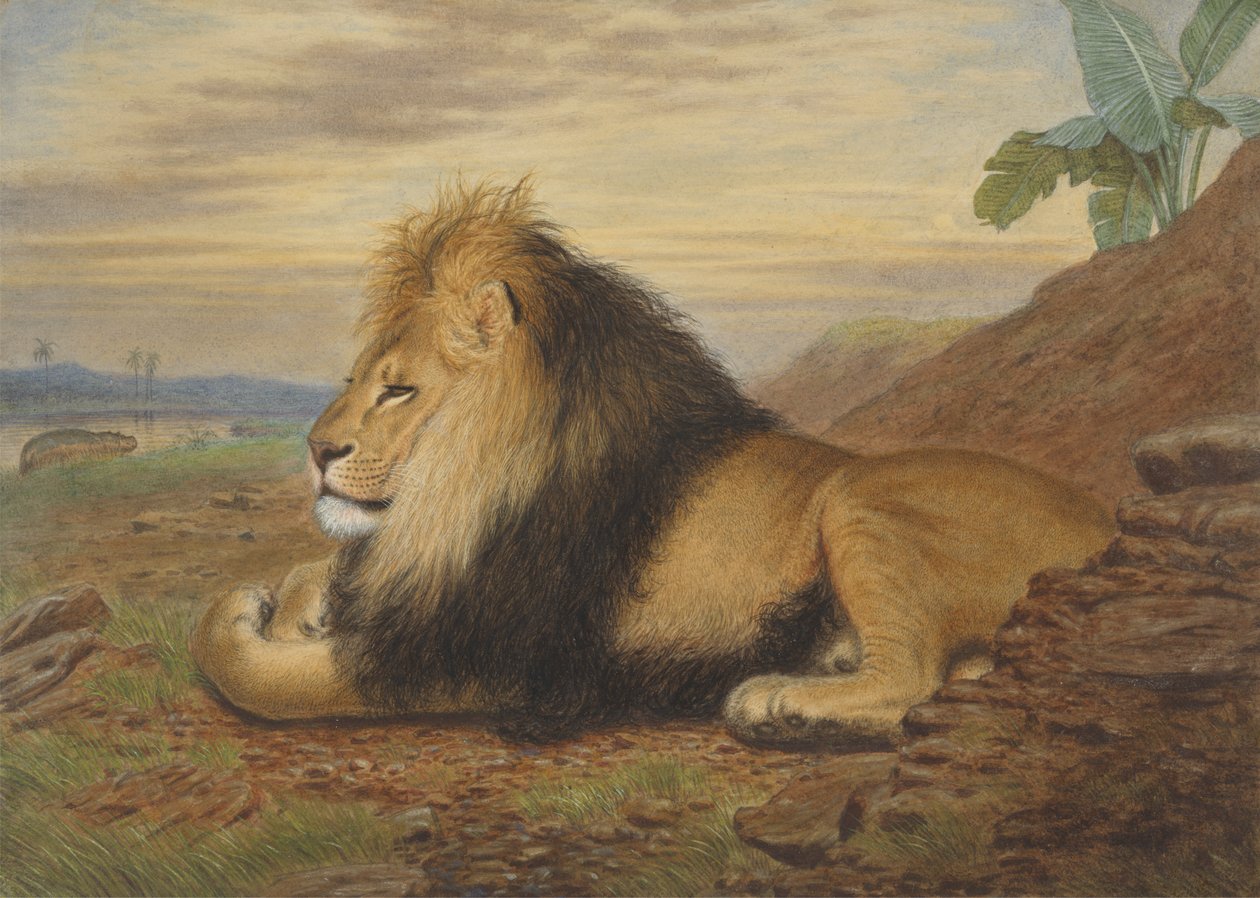 Um Leão de Thomas William Wood