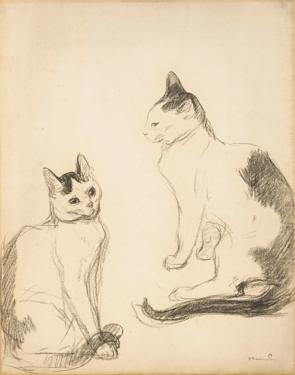Os dois gatos; Os dois gatos de Théophile Alexandre Steinlen
