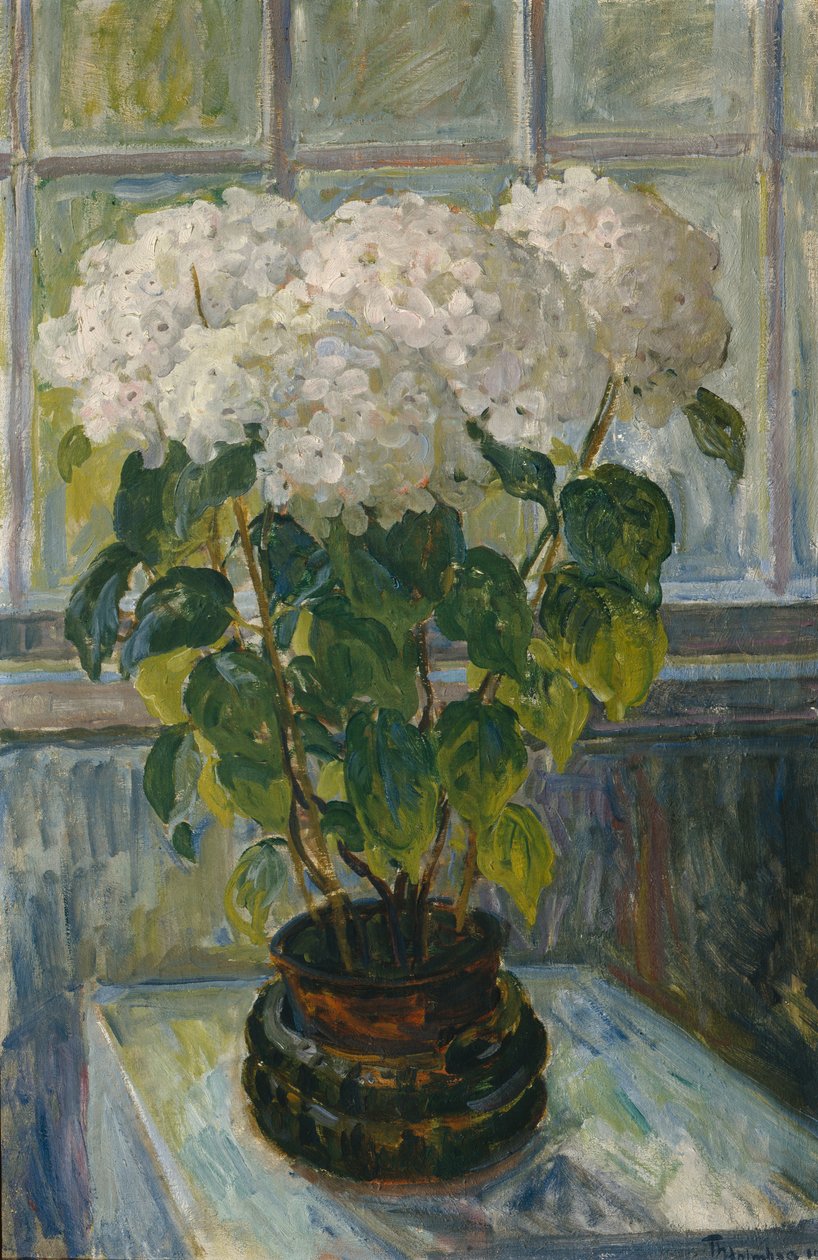 Hortênsia de Thorolf Holmboe