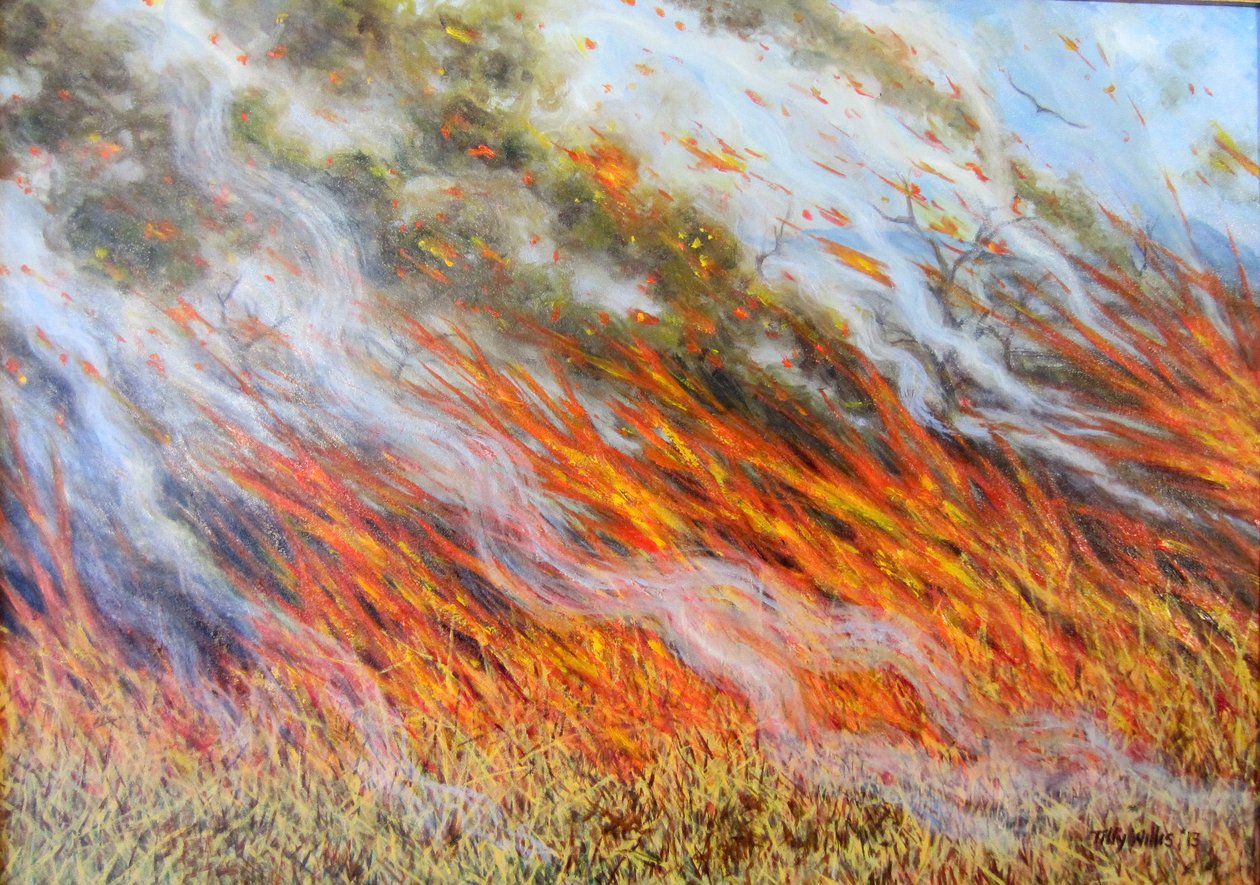 Inferno de Bushfire, 2014, de Tilly Willis