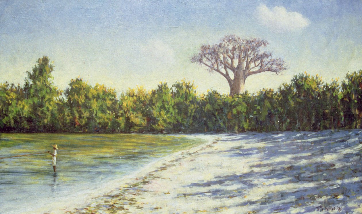 Pesca na África, 1996 de Tilly Willis