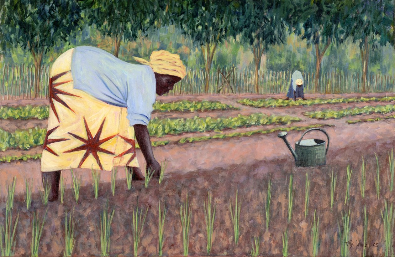 Plantando Cebolas, 2005 de Tilly Willis