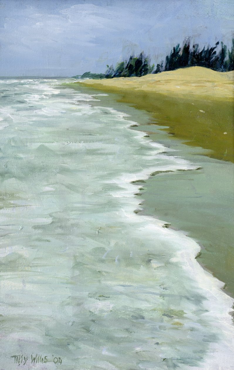 A praia de 2004 de Tilly Willis