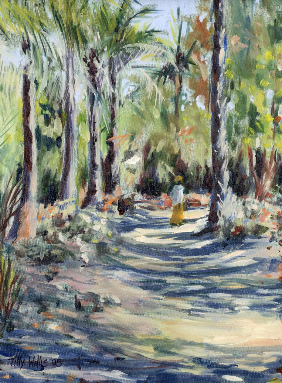 The Bush Road, 2005 de Tilly Willis