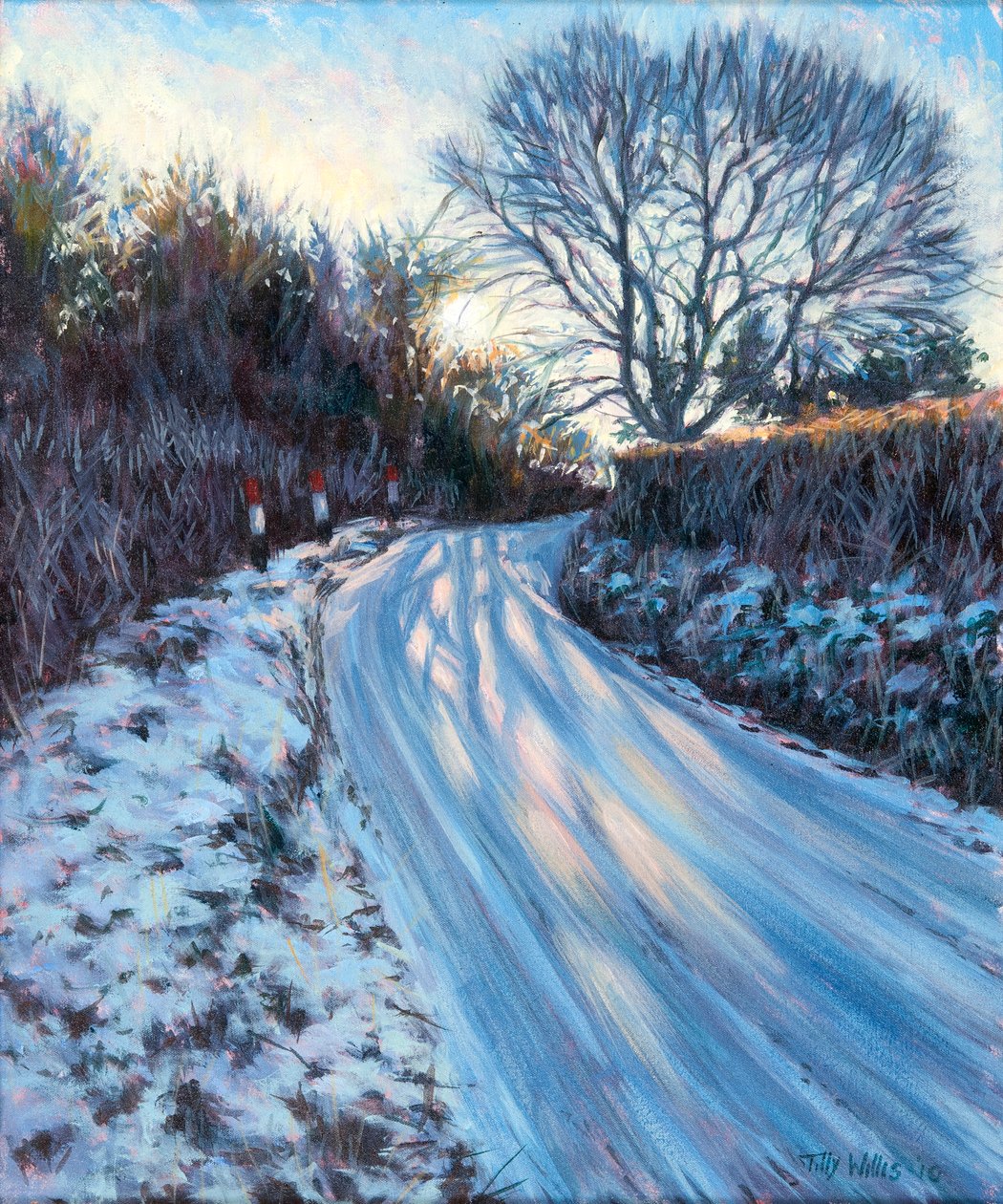 Luz do inverno de Tilly Willis