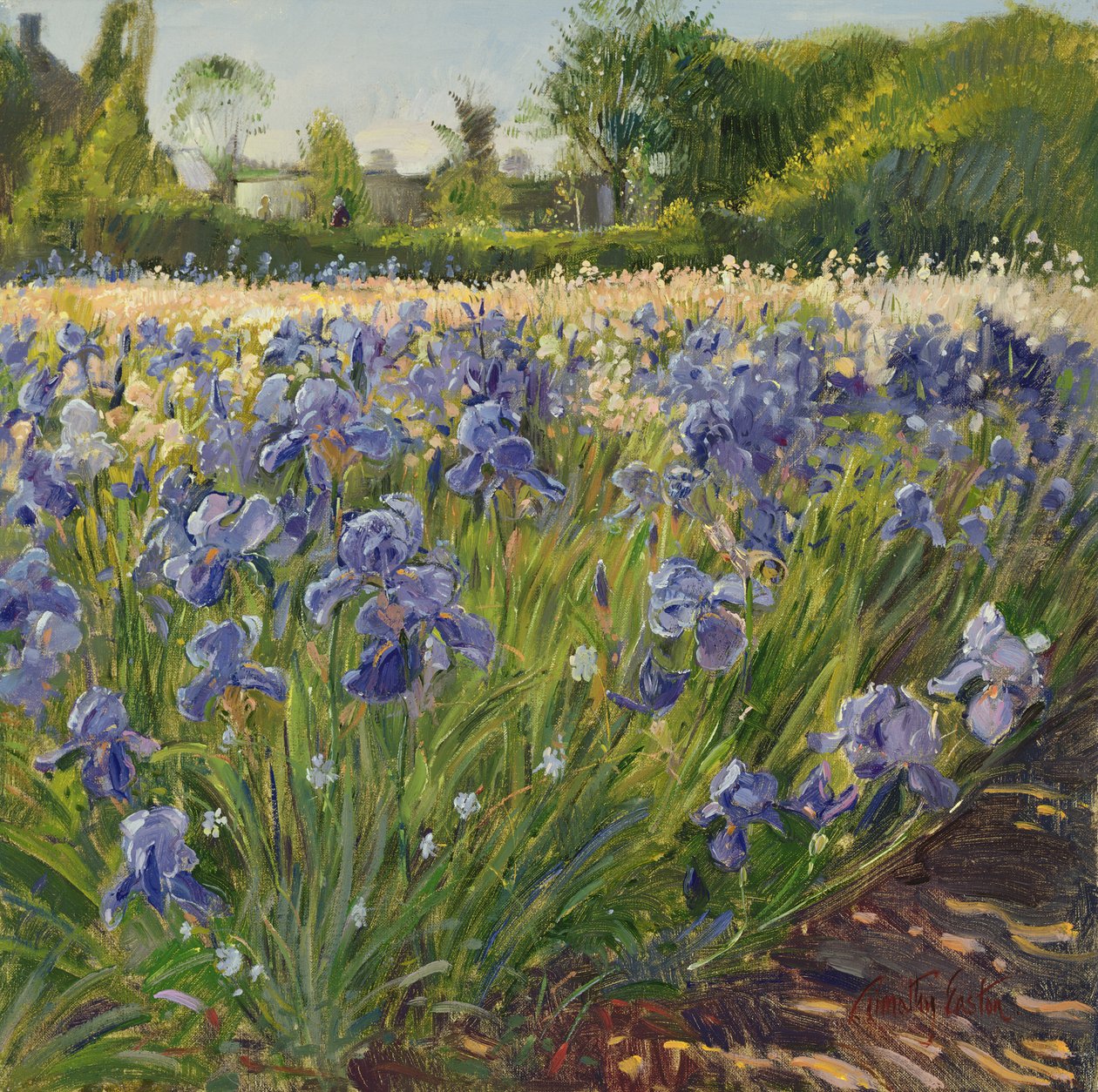 Acima das íris azuis de Timothy Easton