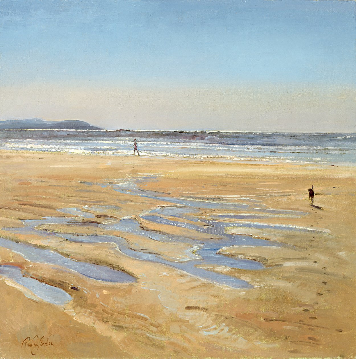 Carrinhos de praia de Timothy Easton