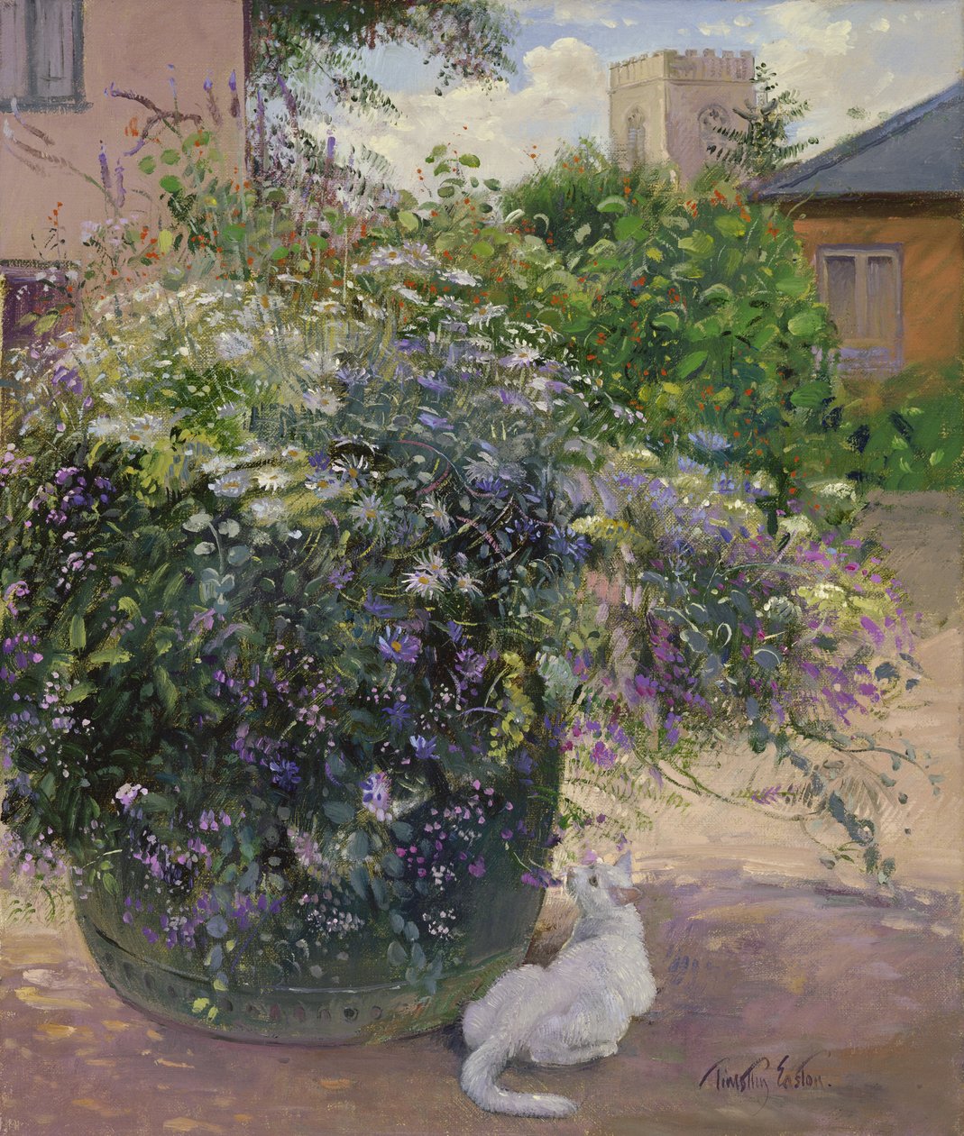 Observação de abelhas de Timothy Easton