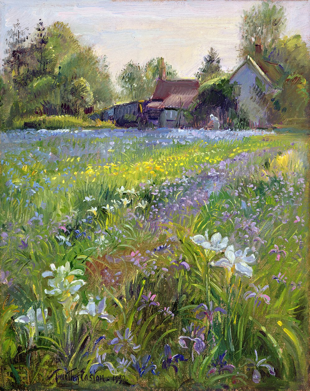 Íris Anãs e Chalé, 1993 de Timothy Easton