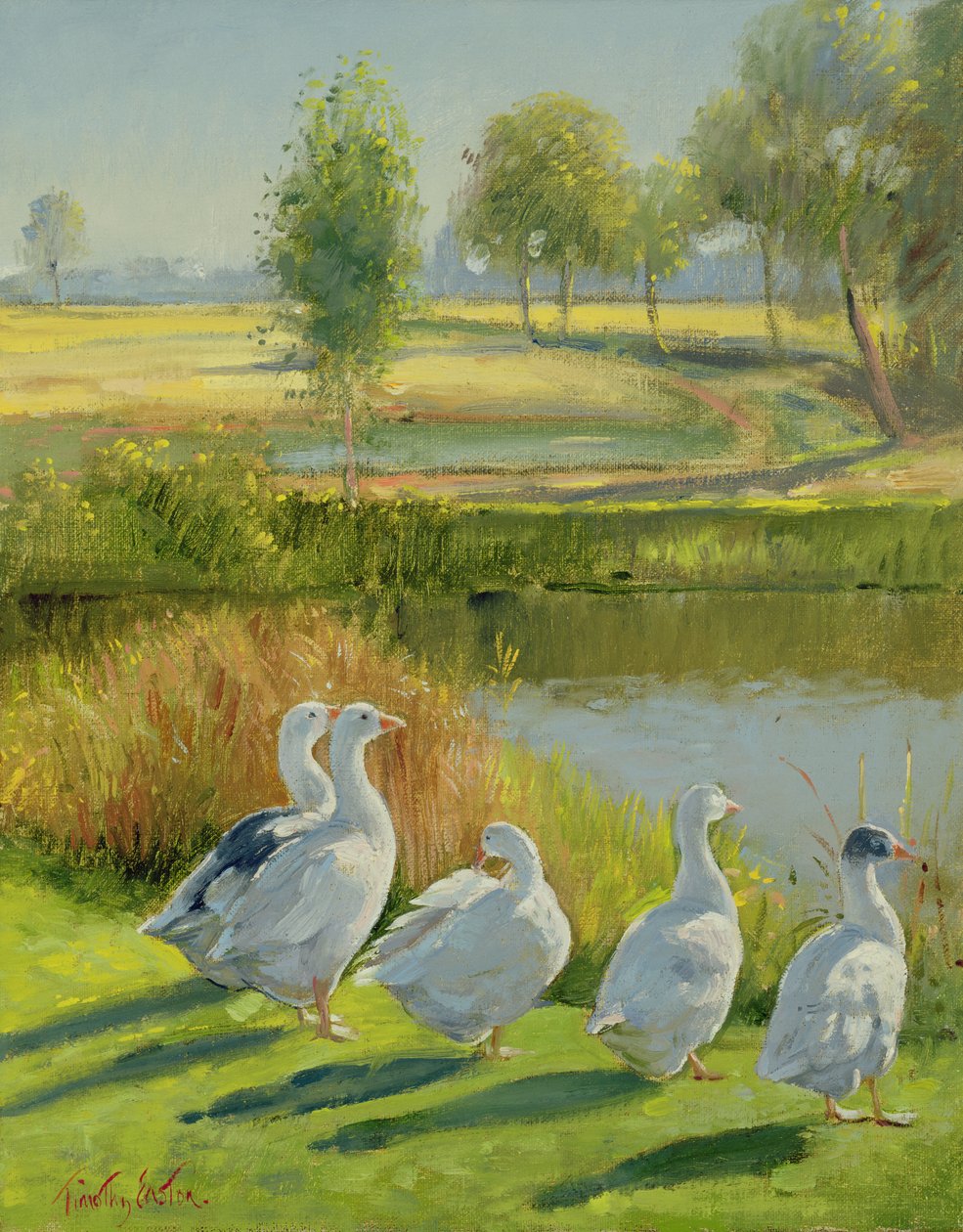 Guarda-chuva de Timothy Easton