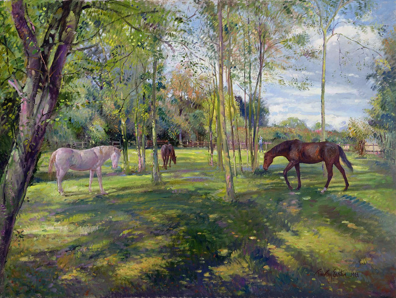 Na Reitoria Paddock, 1993 de Timothy Easton