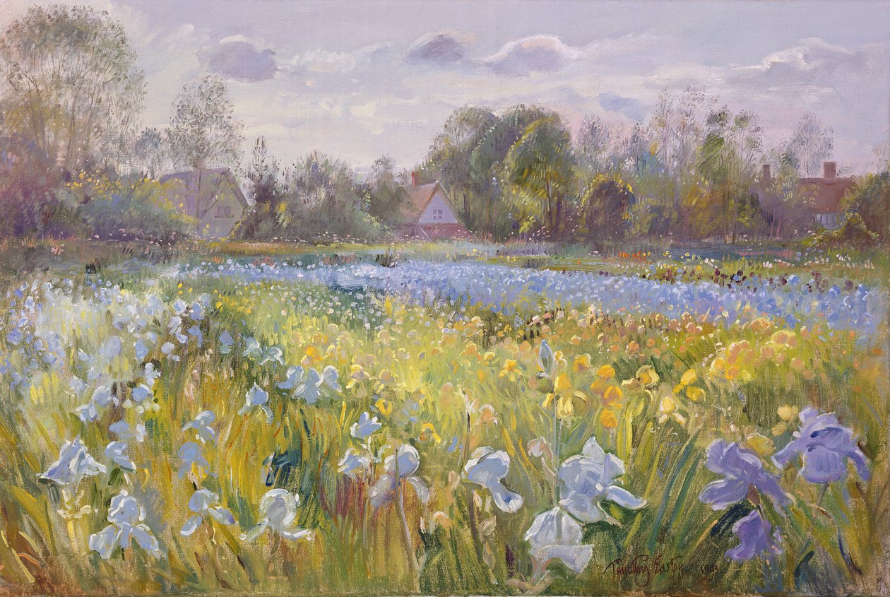 Campo de íris na luz da noite, 1993 de Timothy Easton
